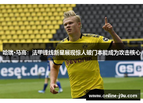 哈瑞·马高:法甲锋线新星展现惊人破门本能成为攻击核心 哈瑞·马高:法甲锋线新星展现惊人破门本能成为攻击核心