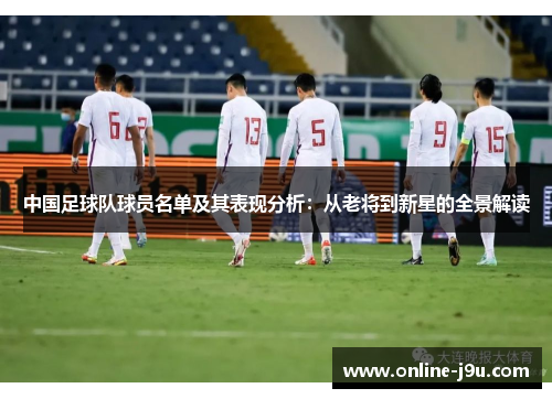 中国足球队球员名单及其表现分析:从老将到新星的全景解读 中国足球队球员名单及其表现分析:从老将到新星的全景解读