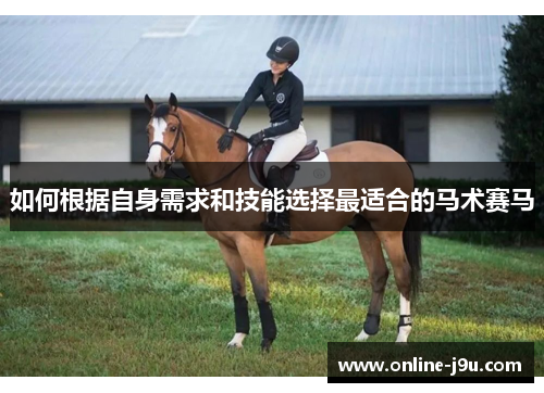 如何根据自身需求和技能选择最适合的马术赛马 如何根据自身需求和技能选择最适合的马术赛马