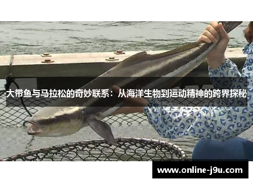 大带鱼与马拉松的奇妙联系：从海洋生物到运动精神的跨界探秘