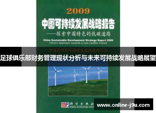 足球俱乐部财务管理现状分析与未来可持续发展战略展望 足球俱乐部财务管理现状分析与未来可持续发展战略展望