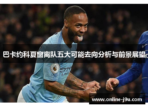 巴卡约科夏窗离队五大可能去向分析与前景展望 巴卡约科夏窗离队五大可能去向分析与前景展望