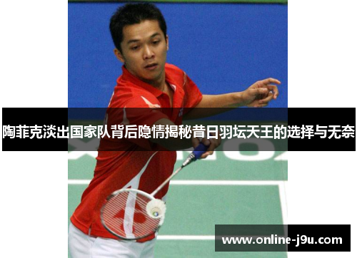 陶菲克淡出国家队背后隐情揭秘昔日羽坛天王的选择与无奈 陶菲克淡出国家队背后隐情揭秘昔日羽坛天王的选择与无奈