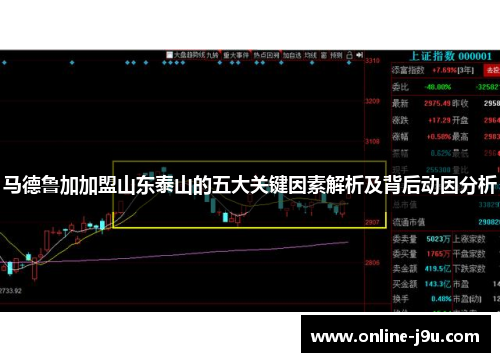 马德鲁加加盟山东泰山的五大关键因素解析及背后动因分析 马德鲁加加盟山东泰山的五大关键因素解析及背后动因分析