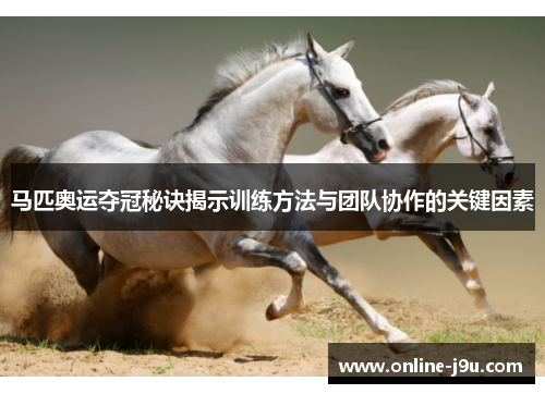 马匹奥运夺冠秘诀揭示训练方法与团队协作的关键因素