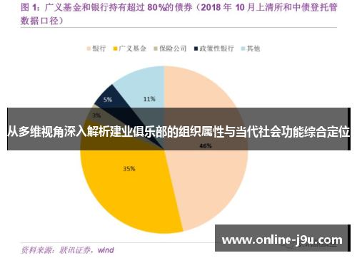 从多维视角深入解析建业俱乐部的组织属性与当代社会功能综合定位