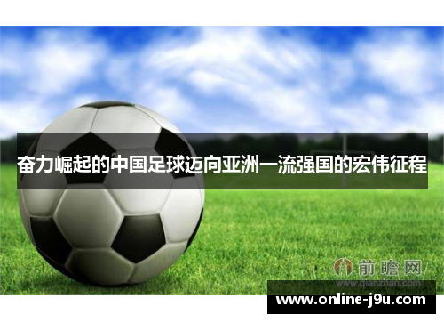 奋力崛起的中国足球迈向亚洲一流强国的宏伟征程