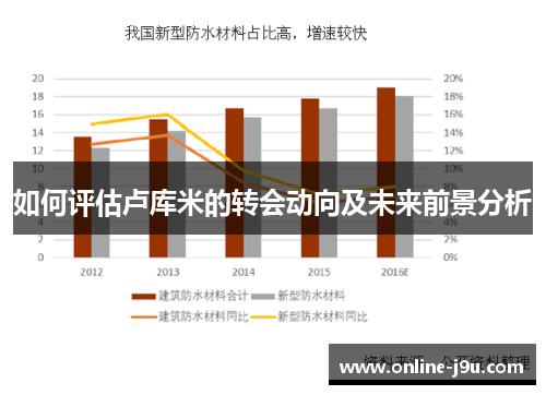 如何评估卢库米的转会动向及未来前景分析