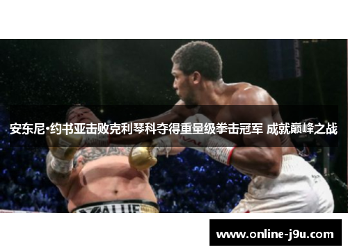 安东尼·约书亚击败克利琴科夺得重量级拳击冠军 成就巅峰之战 安东尼·约书亚击败克利琴科夺得重量级拳击冠军 成就巅峰之战